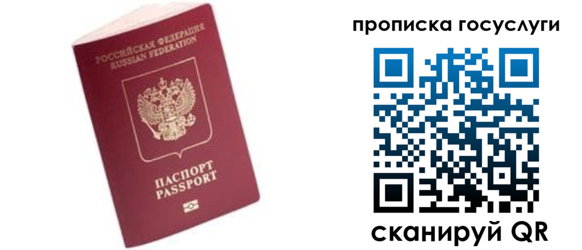 прописка в Советске